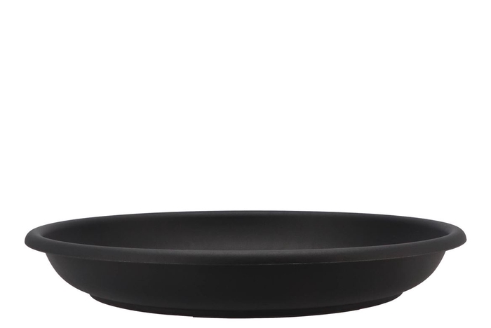 Floristry Plate 45cm P/10 Black