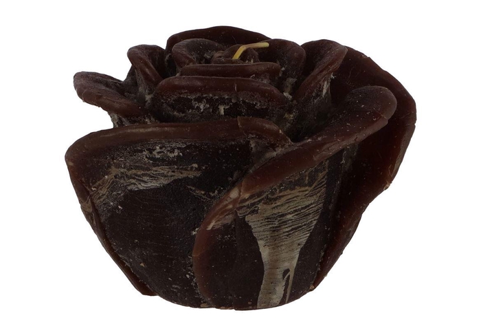 <h4>Candle Roos Choco 14x12cm Nm</h4>