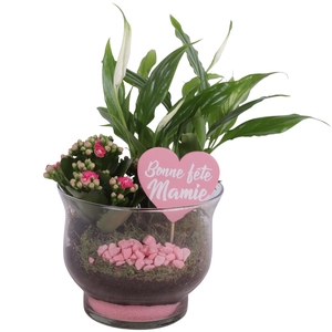 Grandmothers Day Arr. Indoor Glass Tulip Vase Ø16cm 2PP