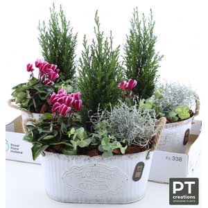 ARR TUINPLANTEN