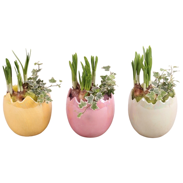 <h4>Easter Arr. Narcis Ceramic Egg Pearl Glazed Ø14cm 2PP</h4>