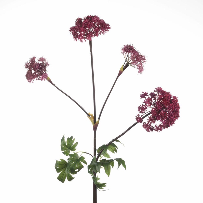 <h4>AF Angelica x4 L126cm Magenta</h4>