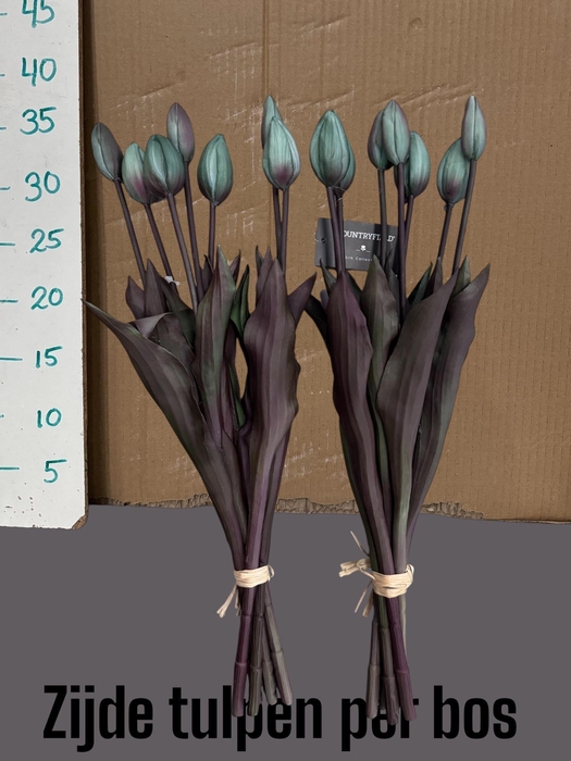 <h4>HUIS EN TUINDECO H%</h4>