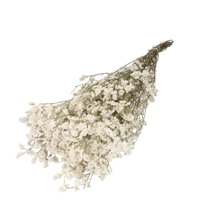 Droogbloem Limonium Diamond 70cm