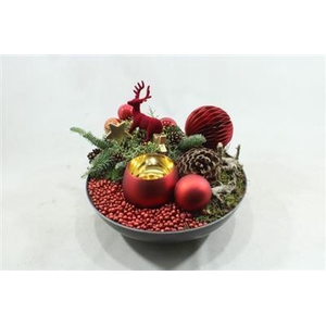 K358 ROOD SCHAAL XXL WAXINE