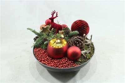 <h4>K358 ROOD SCHAAL XXL WAXINE</h4>