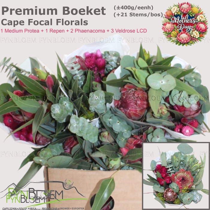 <h4>PROTEA PER BOS</h4>