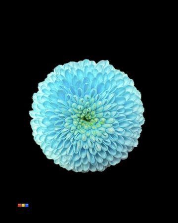 <h4>Chr S Dusty Pastel Blue</h4>