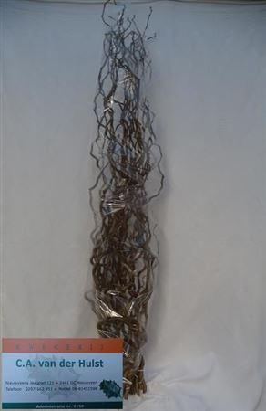 <h4>Corylus Av Contorta</h4>