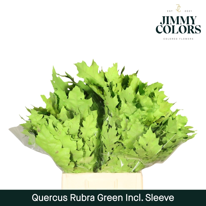 <h4>Quercus Rubra sleeve L60 Groen</h4>