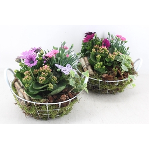 arr4 Outdoor MB - Draadmand wit