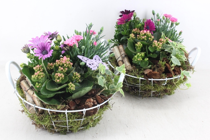 <h4>arr4 Outdoor MB - Draadmand wit</h4>