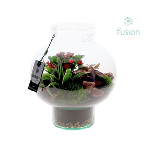 Green Bottle Laura Medium met arrangement