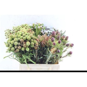 Kaaps Groen Mix In Emmer