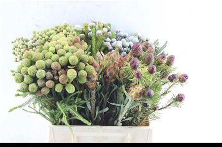 <h4>Kaaps Groen Mix In Emmer</h4>