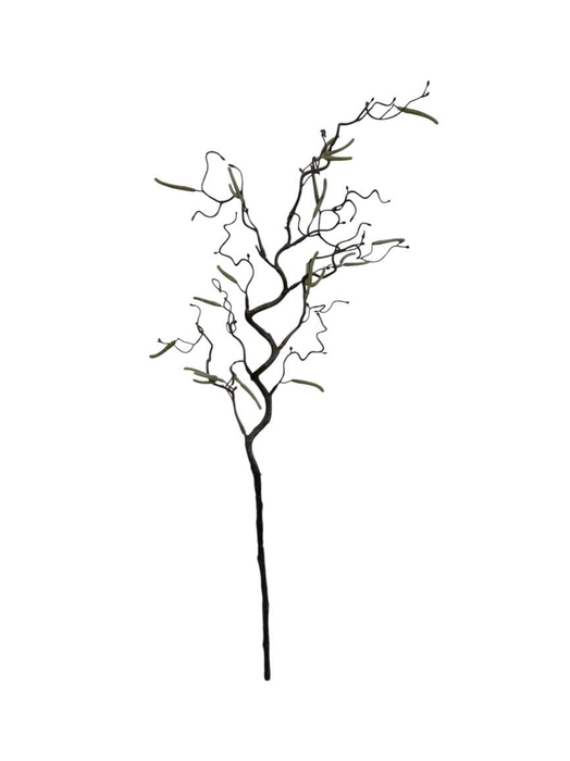<h4>AF Corylus Contorta L70cm Nat.</h4>