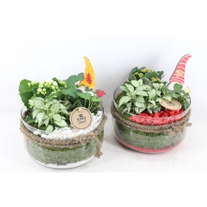 arr2 PL - Glas bose touw x3 - rood/wit