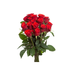 ROSA TRUE LOVE 050 CM ESTUFA