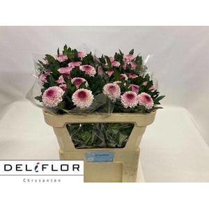 Chr G Lipgloss DF-Flower