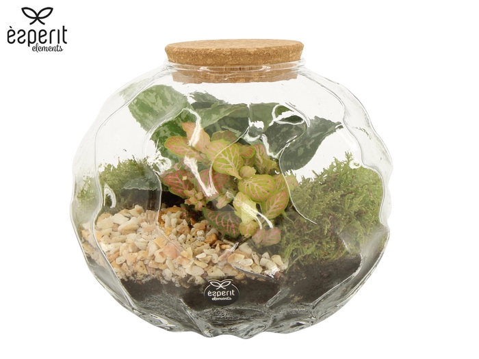 <h4>90675: Terrarium arrangement</h4>