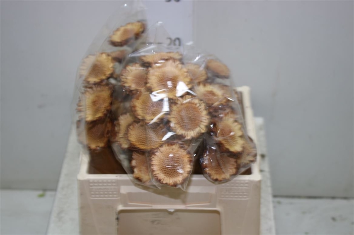<h4>Dried Protea Naturel</h4>