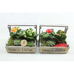 5113 BOLLENKIST RD/WIT