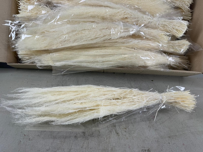 <h4>DF Agrostis Bleached Bs 50gr</h4>