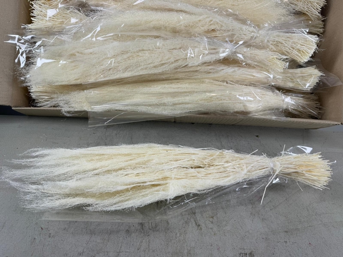 <h4>DF Agrostis Bleached Bs 50gr</h4>