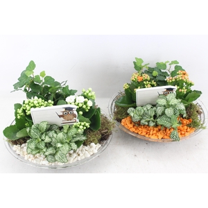 arr2 PL - Glas schaal 27cm - oranje/wit