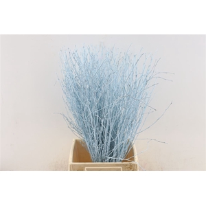 Berk 70cm L. Blauw Pbs