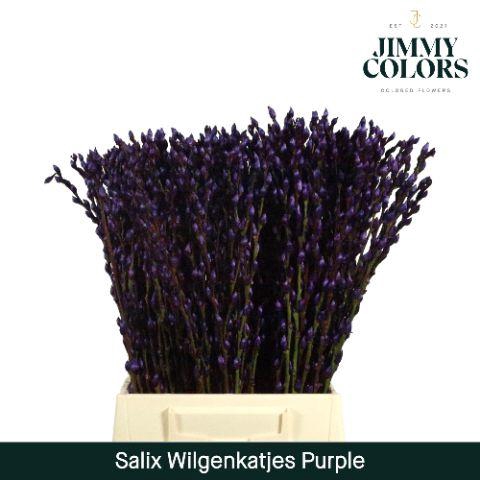 <h4>Salix Katjes L50 Purple</h4>