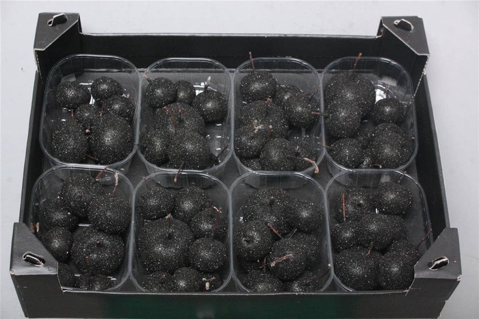 <h4>Appel (wax+gl) X8 Black</h4>