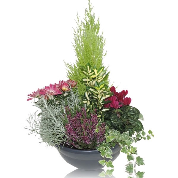 <h4>Arrangement in Bowl 33 cm</h4>