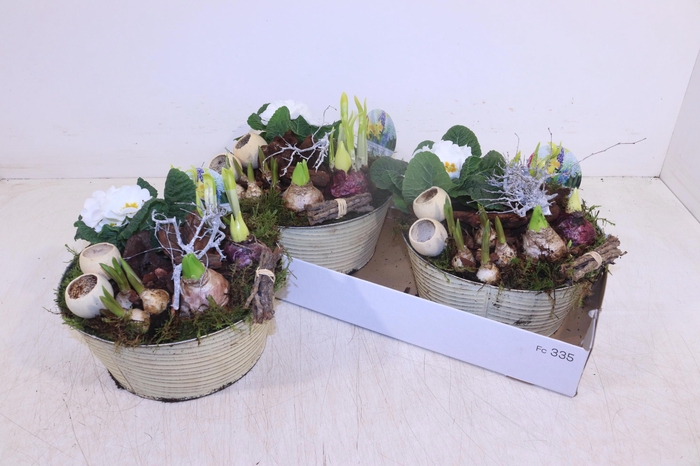 <h4>ARR TUINPLANTEN</h4>