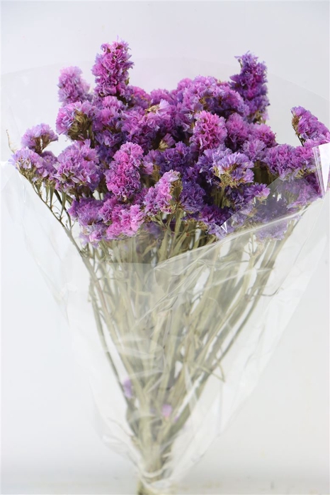 <h4>Dried Limonium Statice D. Pink Bunch</h4>