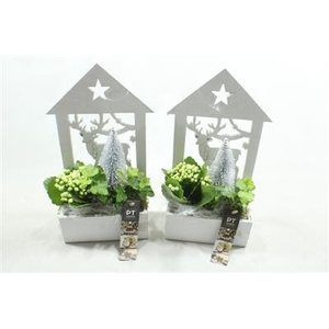 4337 WIT HOUT RH IND