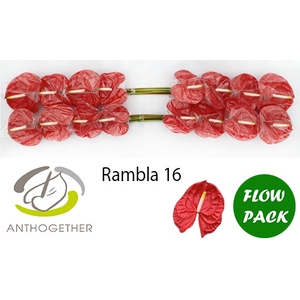 ANTH A RAMBLA 16 Flow Pack