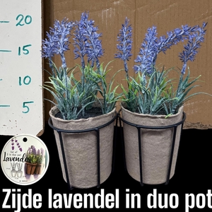 HUIS EN TUINDECO H%