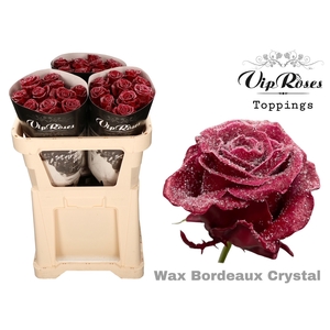 R Gr Vip Wax Bordeaux Crystal X30