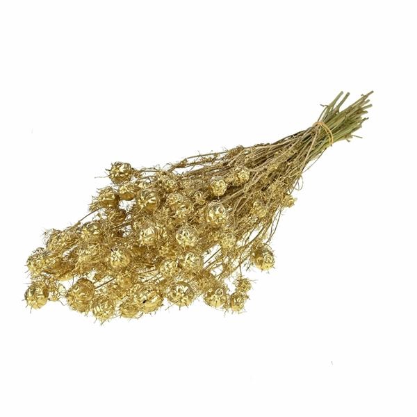 <h4>Nigella Gold</h4>