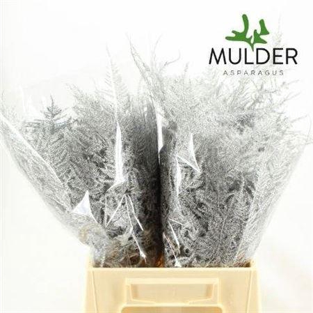 <h4>Asp Ov Klb H%</h4>