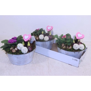 ARR GARDEN ZINC WHITE X2