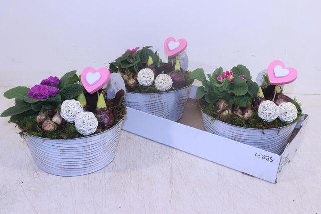 <h4>ARR GARDEN ZINC WHITE X2</h4>