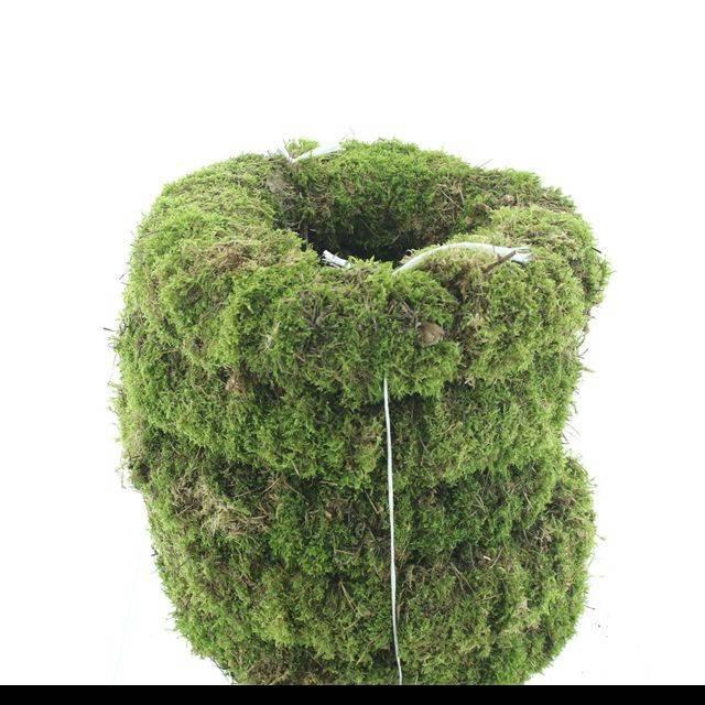 <h4>KRANS MOS H%</h4>