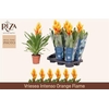 Vries Intenso Flame