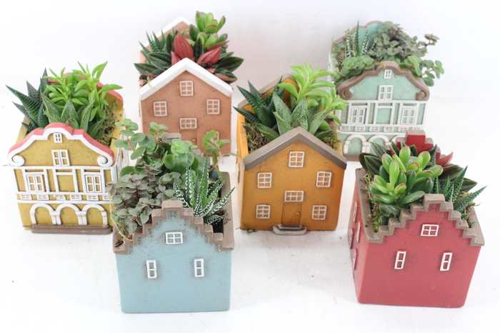 <h4>arr3 SN - Casa Scandinavian groot</h4>