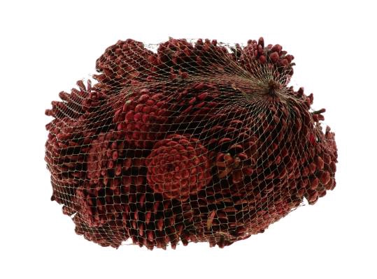 Pinecone Oostenrijker 1kg