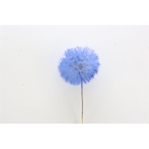 Pres Puste Flower Blue