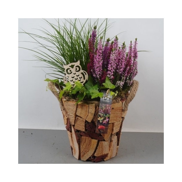 <h4>PTHO4197 Arrangement Herfst Outdoor in houten pot</h4>