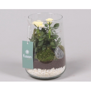 Green Bottle Deline Medium met Potroos